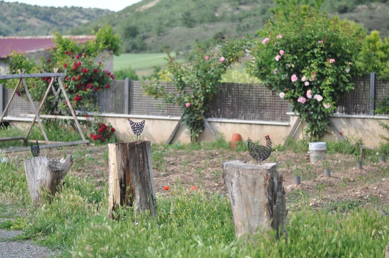 Casa Rural El Rincon De Las Estrellas Guest House Siguenza Bagian luar foto